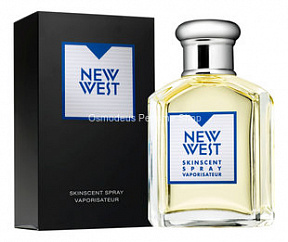 Aramis New West For Men